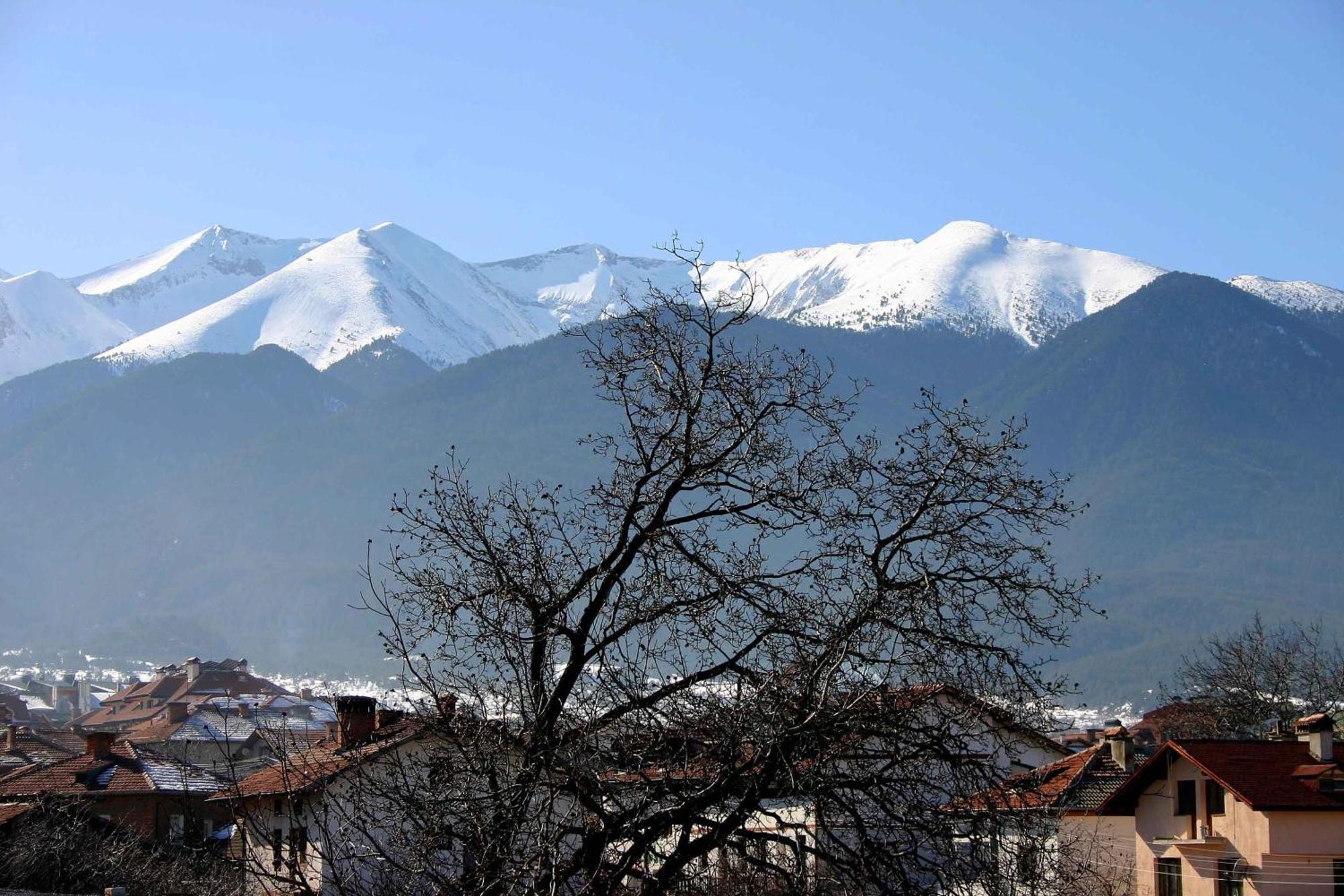 Family Hotel Bisser Bansko Zewnętrze zdjęcie