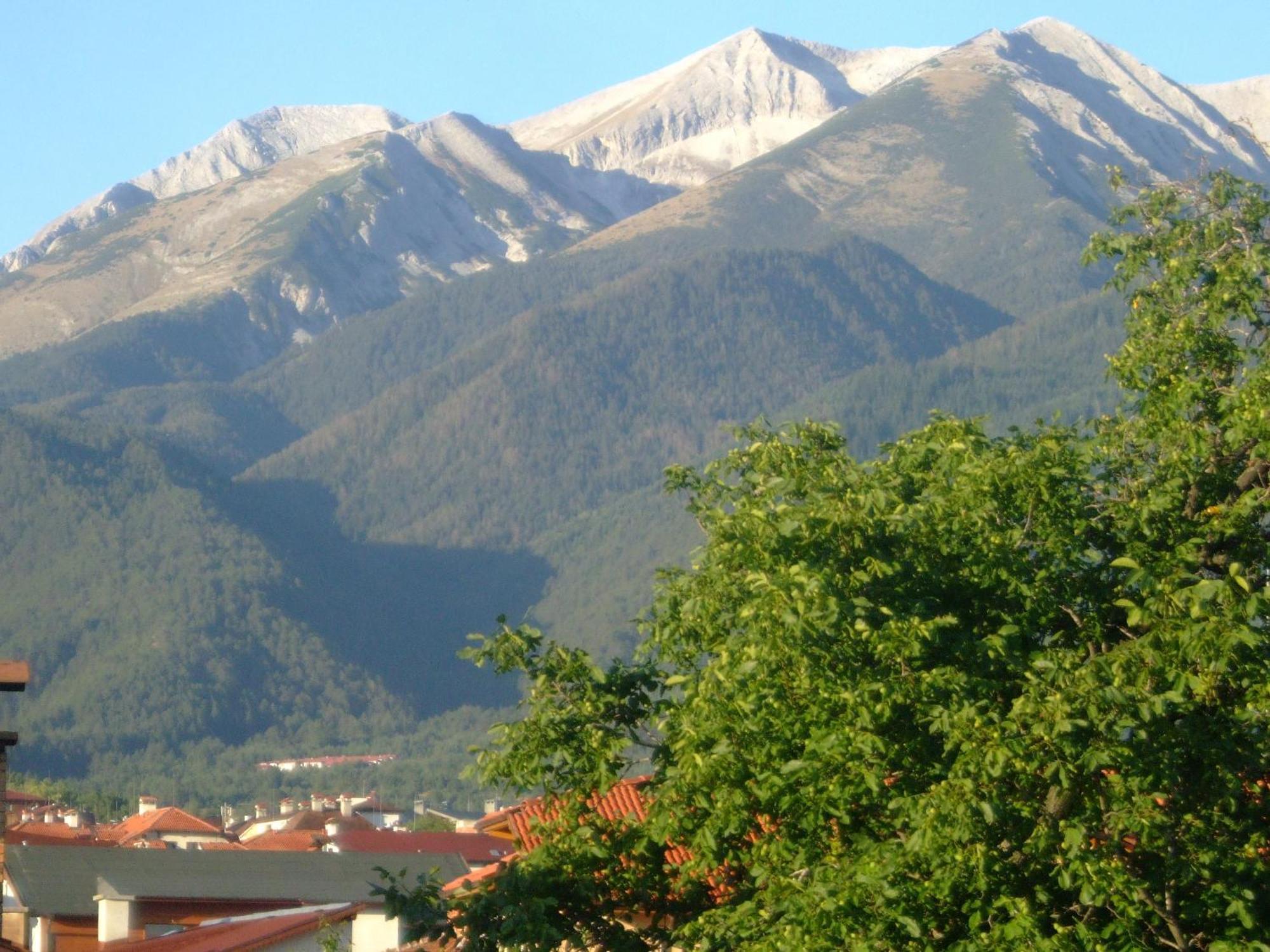 Family Hotel Bisser Bansko Zewnętrze zdjęcie