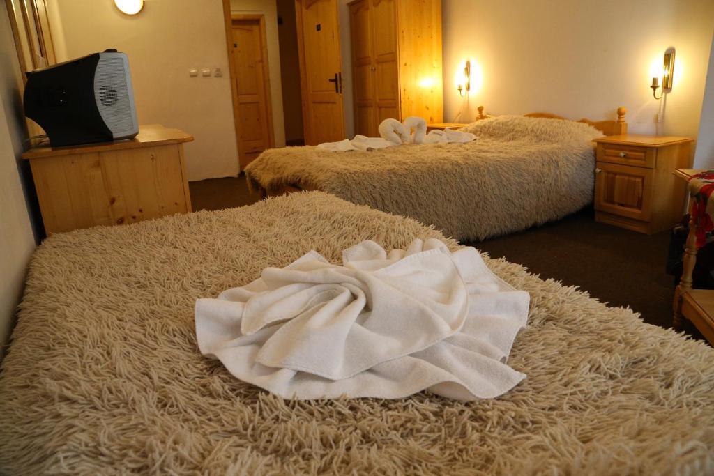Family Hotel Bisser Bansko Pokój zdjęcie